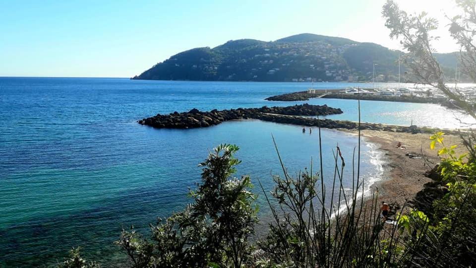Appartement 2 Pieces Le Gorecki - Residence Du Riou De L'Argentiere A Mandelieu La Napoule, Avec Piscine, Parking Et A Proximite De Tout! Eksteriør bilde